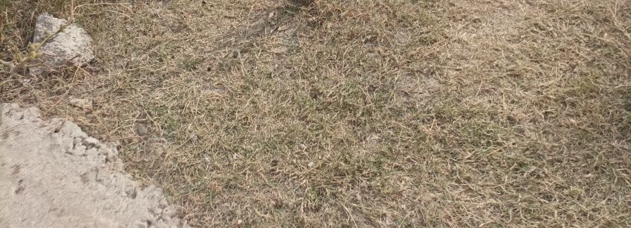 سید مدثر Cover Image