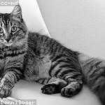 Trent Padberg Profile Picture