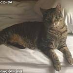 Stephanie Bins Profile Picture