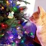 Teagan Johnston Profile Picture