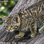 Payton Ziemann Profile Picture