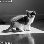 Adolph Tremblay Profile Picture