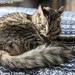 Delfina Christiansen Profile Picture