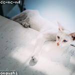 Benton Lowe Profile Picture