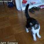 Alycia Kuphal Profile Picture