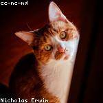 Leann Hayes Profile Picture