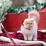 Nathan Osinski Profile Picture