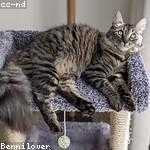 Nola Pollich Profile Picture