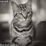 Berry Nolan Profile Picture