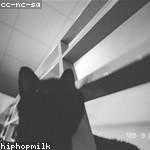 Rebeka Considine Profile Picture