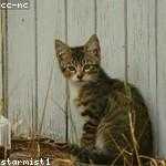 Philip Bergnaum Profile Picture