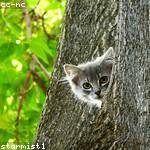 Fernando Glover Profile Picture