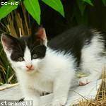 Kristofer Gutkowski Profile Picture