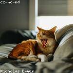 Hester Hoeger Profile Picture