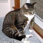 Taylor Nikolaus Profile Picture