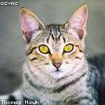 Heather Hilpert Profile Picture