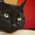 Hattie Nienow Profile Picture