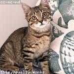 Clotilde Johnston Profile Picture