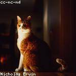 Kailey Christiansen Profile Picture