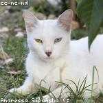 Winifred Beer Profile Picture