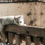 Jeremy Streich Profile Picture