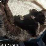 Katherine Bailey Profile Picture