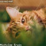 Elwyn Bode Profile Picture