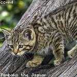 Esta Wuckert Profile Picture