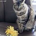 Tamia Schulist Profile Picture