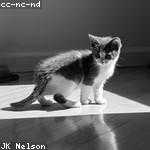 Mossie Smith Profile Picture