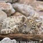 Shanel Prohaska Profile Picture