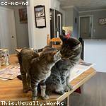 Jackeline Pfeffer Profile Picture