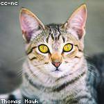 Sydnie Powlowski Profile Picture