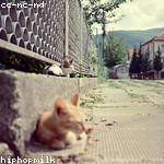 Imani Dare Profile Picture