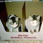 Daija Walker Profile Picture