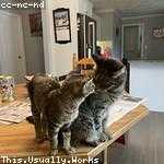 Kayleigh Beatty Profile Picture