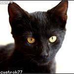 Penelope Hermiston Profile Picture