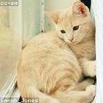 Buster Gleason Profile Picture