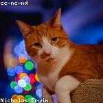 Sandy Ortiz Profile Picture