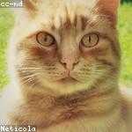 Agustina Cassin Profile Picture