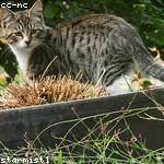 Aubree Swaniawski Profile Picture