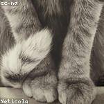 Guillermo Ward Profile Picture