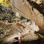 Alta Ziemann Profile Picture