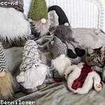 Ova Aufderhar Profile Picture