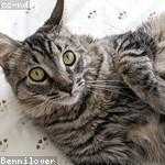 Olin Kihn Profile Picture