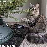 Arnaldo Yost Profile Picture