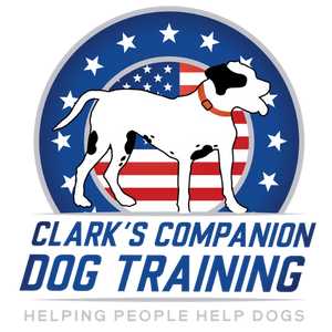 Clarks Companion Dog Training LLC Profile Picture