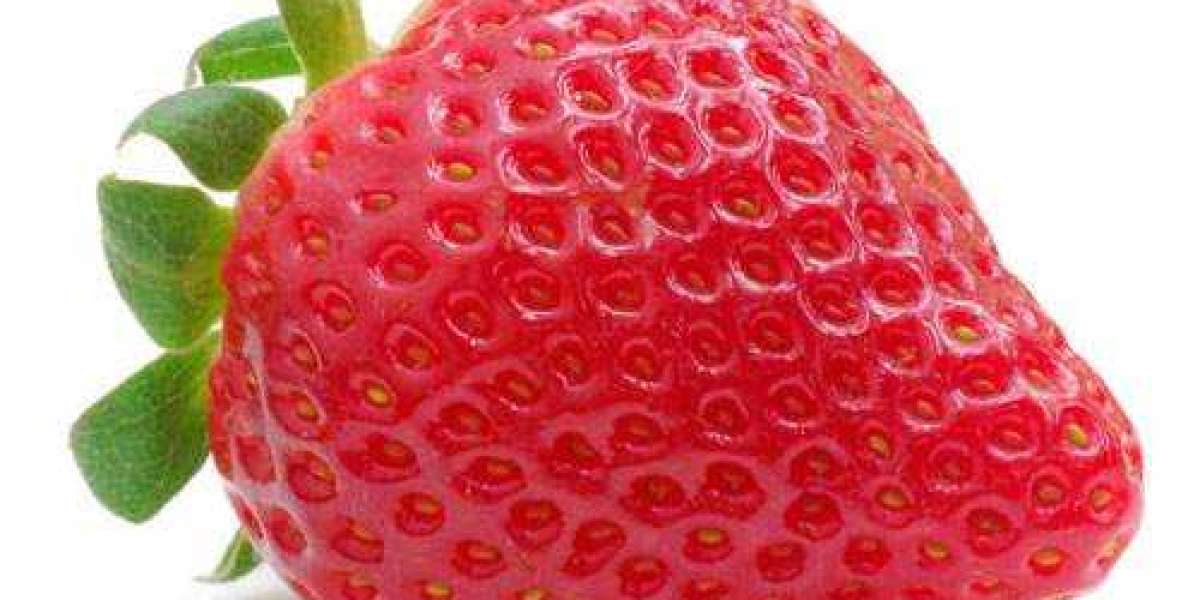 President, he's paranoid.